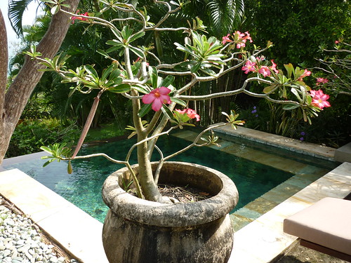Ayana Villa 2001 Private Infinity Plunge Pool | by Video Attraction Marketing