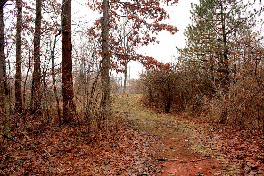 Native Red Path Red Path | Aperture: F/5 Shutter Speed: 1/200 sec | muffinmatters | Flickr