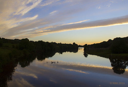 ilen summer august 2016 sunset cork river swan reflection mbe abbeystrewery deelish skibereen westcork