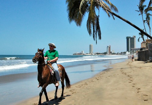 ocean vacation horse seascape beach mexico sand palm hotels mazatlan