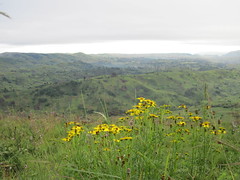 Kitulo National Park
