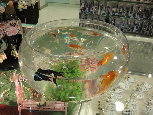 Goldfish Bowl