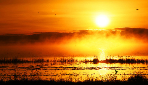 españa fog sunrise fire spain lagoon amanecer laguna fuego niebla palencia boadadecampos