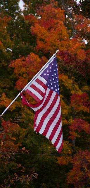 US Flag and Autumn Color JN003810