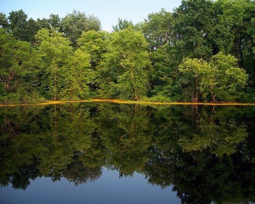 pa pennsylvania westwyoming pond water swamp smooth glass mirror reflection trees dusk image mirrorimage reflect sky sunset green gold colors color peace peaceful tranquil tranquility nature beauty asabovesobelow above below spiritual spirit philosophy philosophic fractal photo photos photograph photographs picture pictures photography