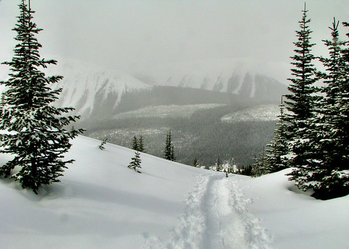 View of Spray Valley - Rummel Lake trail, March 2011, kananaskis snowshoeing calgaryevergreens rummellake march2011