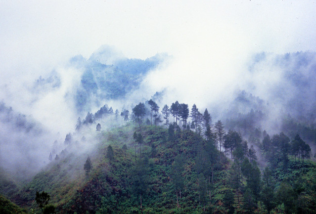cloudy hills