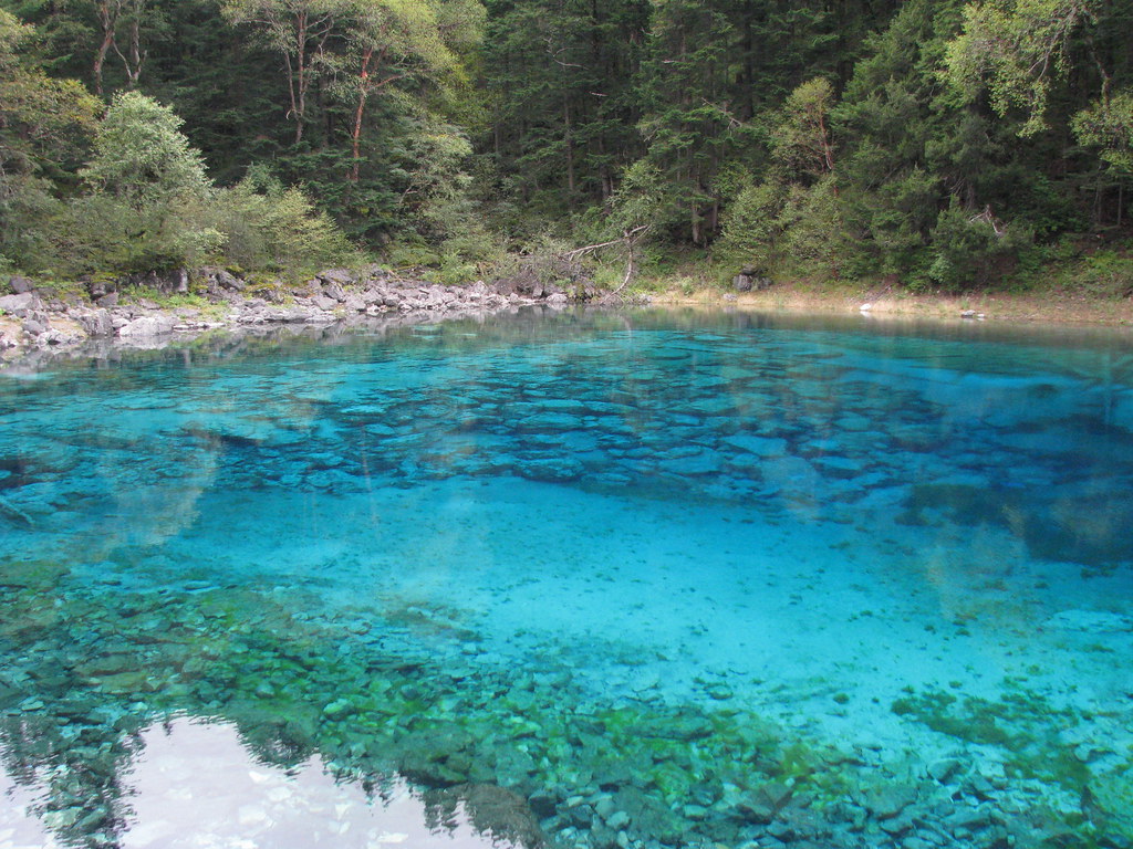 Самое прозрачное в мире. Озеро с кристально чистой водой в Подмосковье. Сычуань Хуан Лоо. Чистые пруды озеро. Голубое озеро – самое чистое озеро в мире.