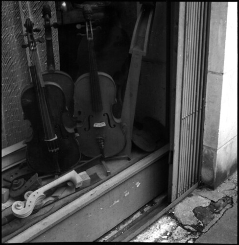violins • rouen, normandy • 2010