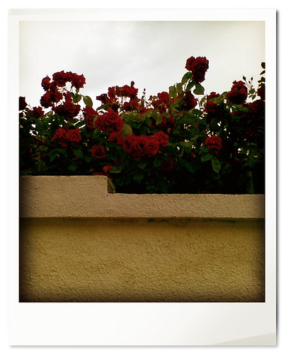 493-cosak | by jana ( * ^ _ ^ * )