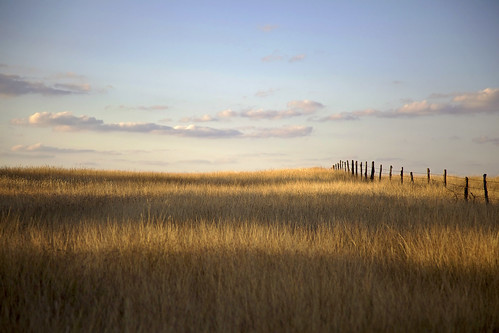 old sunset field fence hills llano sambutler texasscenery llanotexas butlerphotography