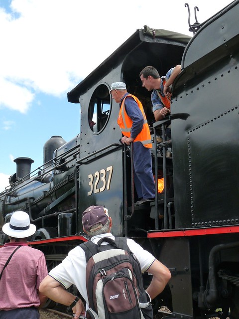 3237 at the Festival of Steam