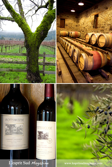 Spottswoode Estate Vineyard & Winery (St Helena, CA)