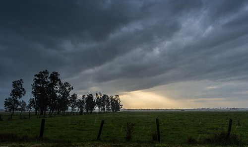 rain landscape richmondvalley berminghamsflat trees fence sky storms cloudscape lateafternoon sunlightthroughclouds northernrivers nsw australia summer