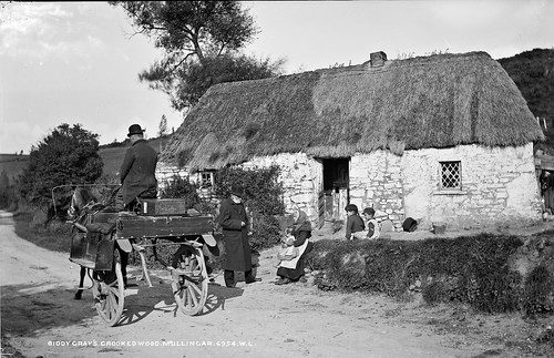 robertfrench williamlawrence lawrencecollection lawrencephotographicstudio thelawrencephotographcollection glassnegative nationallibraryofireland biddygrayscottage westmeath ireland thatchedcottage yard sidecar jarvey children bucket limerickbybeachcomber cottage jauntingcar tophat family countymeath mysterysatchel mysteryman