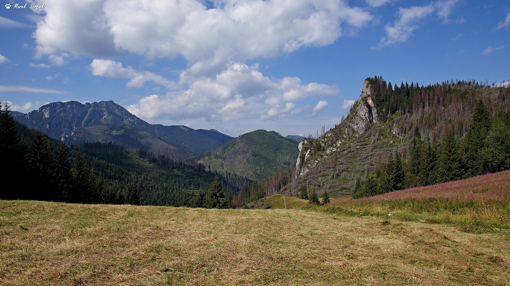 View from Przysłupia Miętusiego on Kominiarski Wierch and Kończystą Turnia in the Western Tatras. Poland