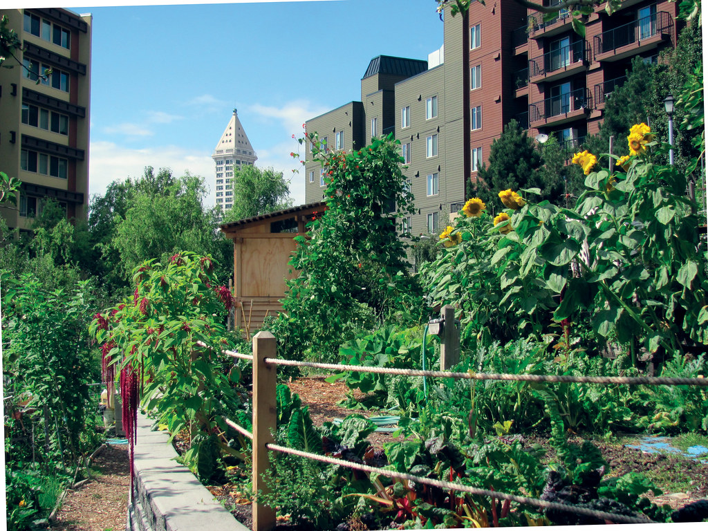 Urban Garden | Seattle Parks | Flickr