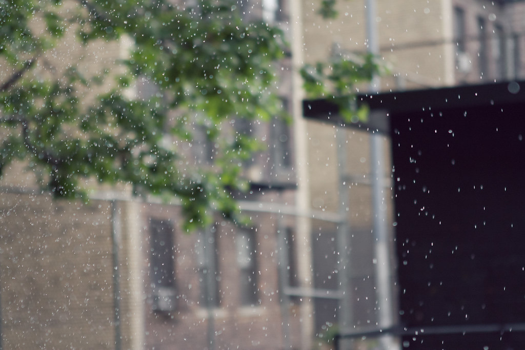 Airborne water droplets from a park sprinkler against a background of green trees and brick apartments.