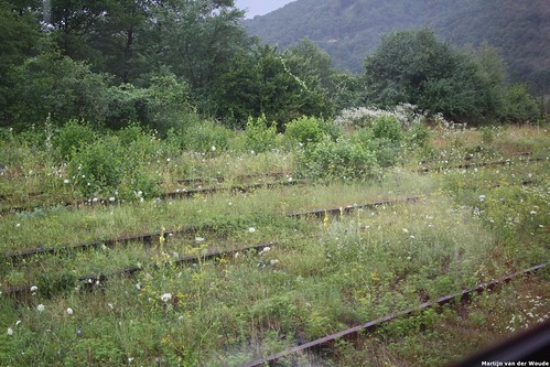 20110722_RO_Northern Romania_Abandond Railyard