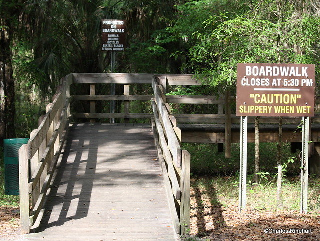 Boardwalk Entrance At Lettuce Lake Park In Tampa Florida