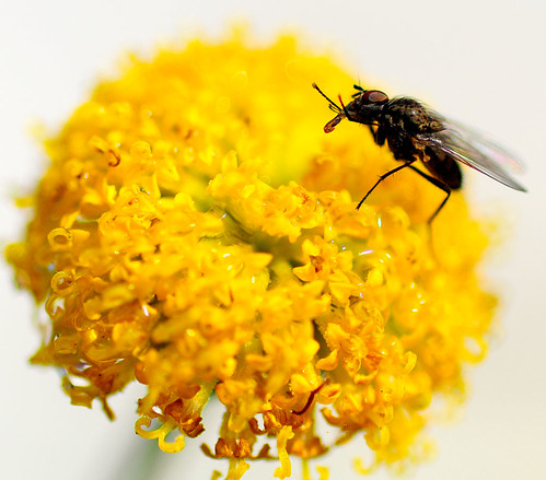 clean up | by pete ware