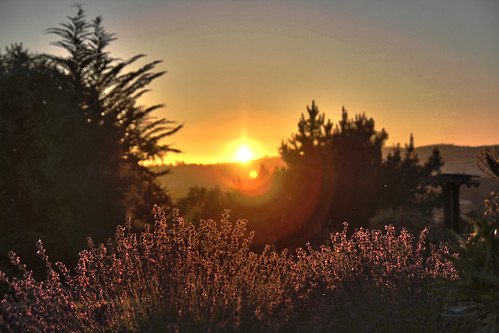 HDR Sunset across of Laguna Seca by ap1120, 