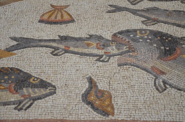 Detail of the Lod Mosaic,  seascape with marine animals; tuna, bream, swordfish, scallops, sea snails, mosaic believed to belong to a large and well-appointed Roman house and is dated to about A.D. 300, found in Lod, Israel