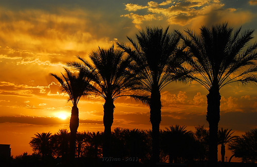 sunset sky cloud silhouette palms day cloudy platinumphoto blinkagain