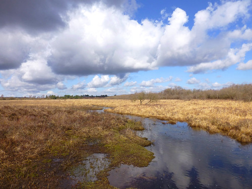 england clouds landscape hampshire heath marsh newforest newforestnationalpark worldtrekker