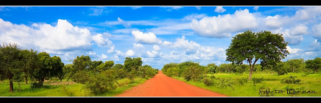 African road