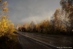 Rainbow on the road. We stopped :)