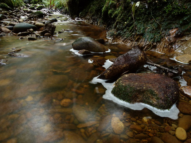 Unnamed Creek, West Coast NZ