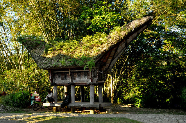 Toraja, South Sulewasi