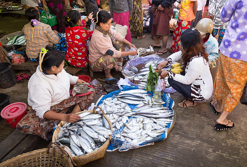 birma birmania birmanie burma fisch fish market markt mercado myanmar rakhine rakhinestate thandwe