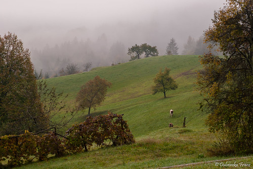 laško slovenia slovenija fall fog