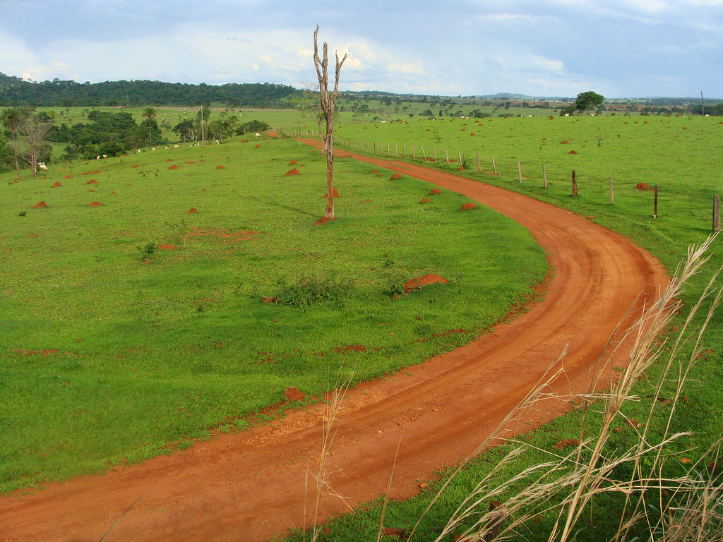 Farm road. Равнина плантации дороги. Сельские дороги в Бразилии. Трансамазонская магистраль. Дороги на ферме.