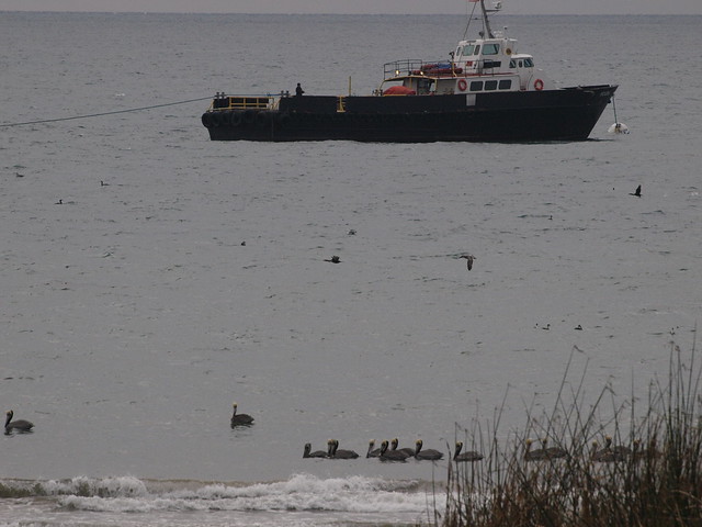 J1012826 bacara haskell beach tecolito creek veneco supply ships tugs brown pelican