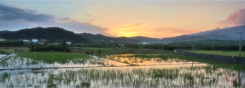 Manjhou Lazy Sunset HDR by samrowlands, Walking the dog one evening and as the sun set with the rice paddies in front, I couldn't resist, 3