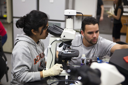 Students working in Microbiology