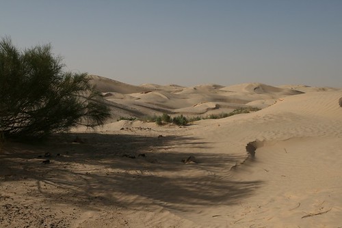 cbertrandpleutin bertrandpleutin tunisie sahara grandergoriental erg desert sable sand dunes elalagaya puits marabout