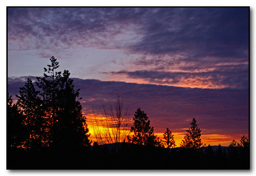 trees colors clouds sunrise washington spokane silhouettes christmaseve