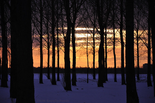 sunset sky snow tree nikonflickraward nikonflickrawardgold nikonflickrawardplatinum badmanproduction