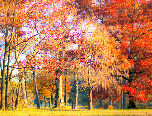 A Perfect Autumn by Kala_M