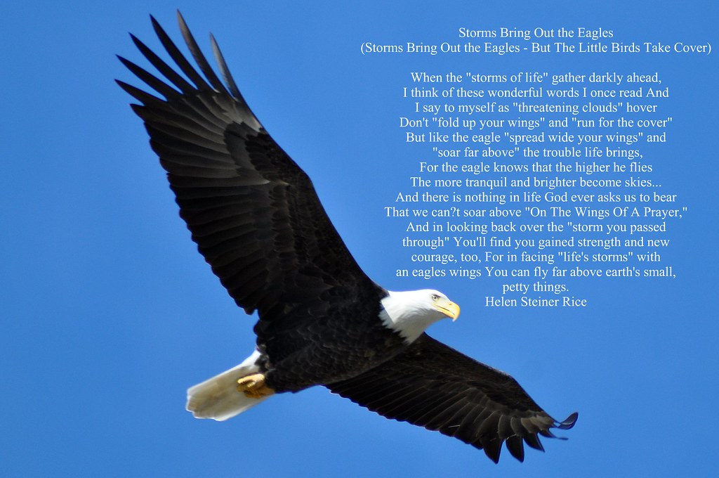 the eagle poem