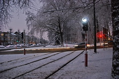 Les rails de tram presque gelés (Gros-Tilleul -Brussels )