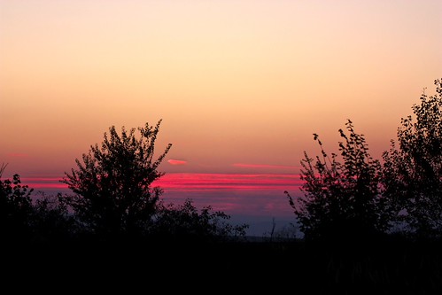 IMG_4474 by VasaXter, 