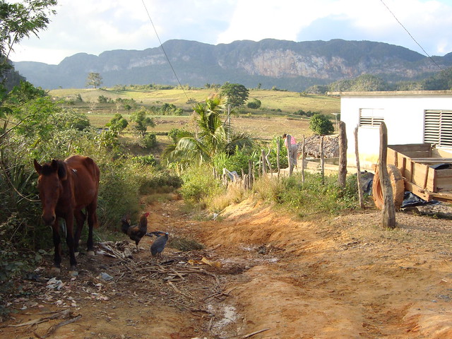 Countryside around Viñales - Cuba - 17