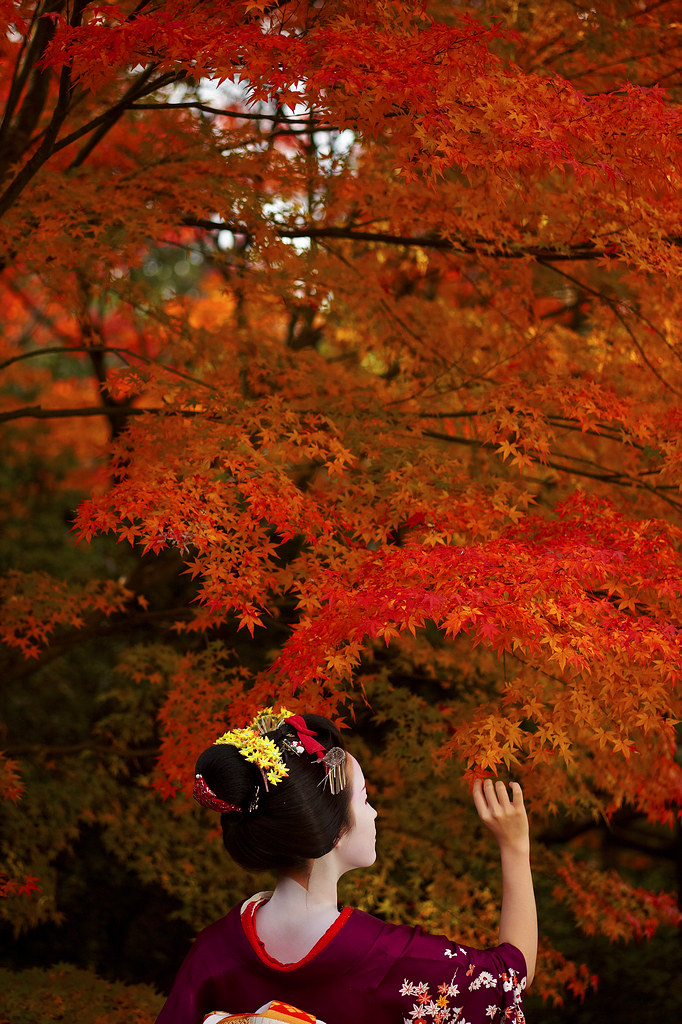Memoirs of a Geisha 29 | 蚊子 | Flickr