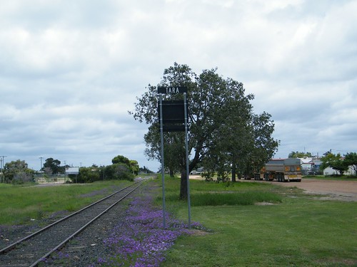 green grass weeds purple tara tracks railway queensland fujifilm s2000hd