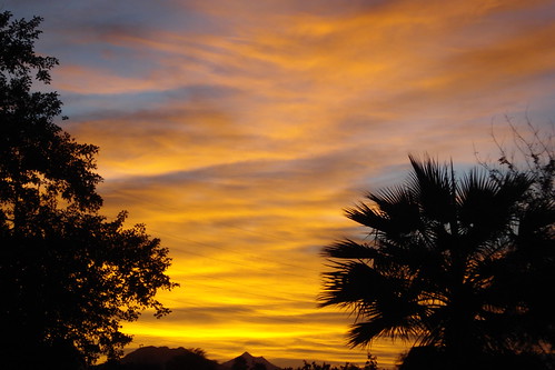 sunset arizona usa phoenix clouds golden evening colorful palm 2010 altostratus sonydscw55 blinkingcharlie